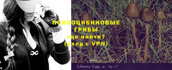 дурь Абаза