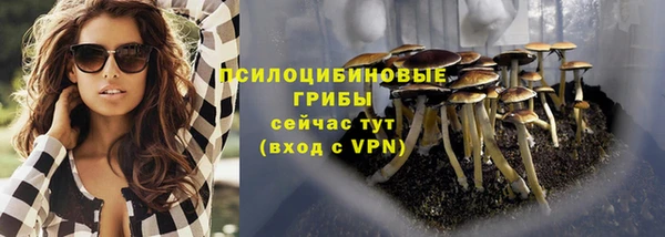 дурь Абаза