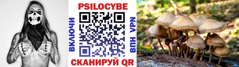 Галлюциногенные грибы Cubensis  Топки 